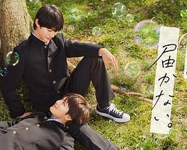 老追风神捕海报剧照